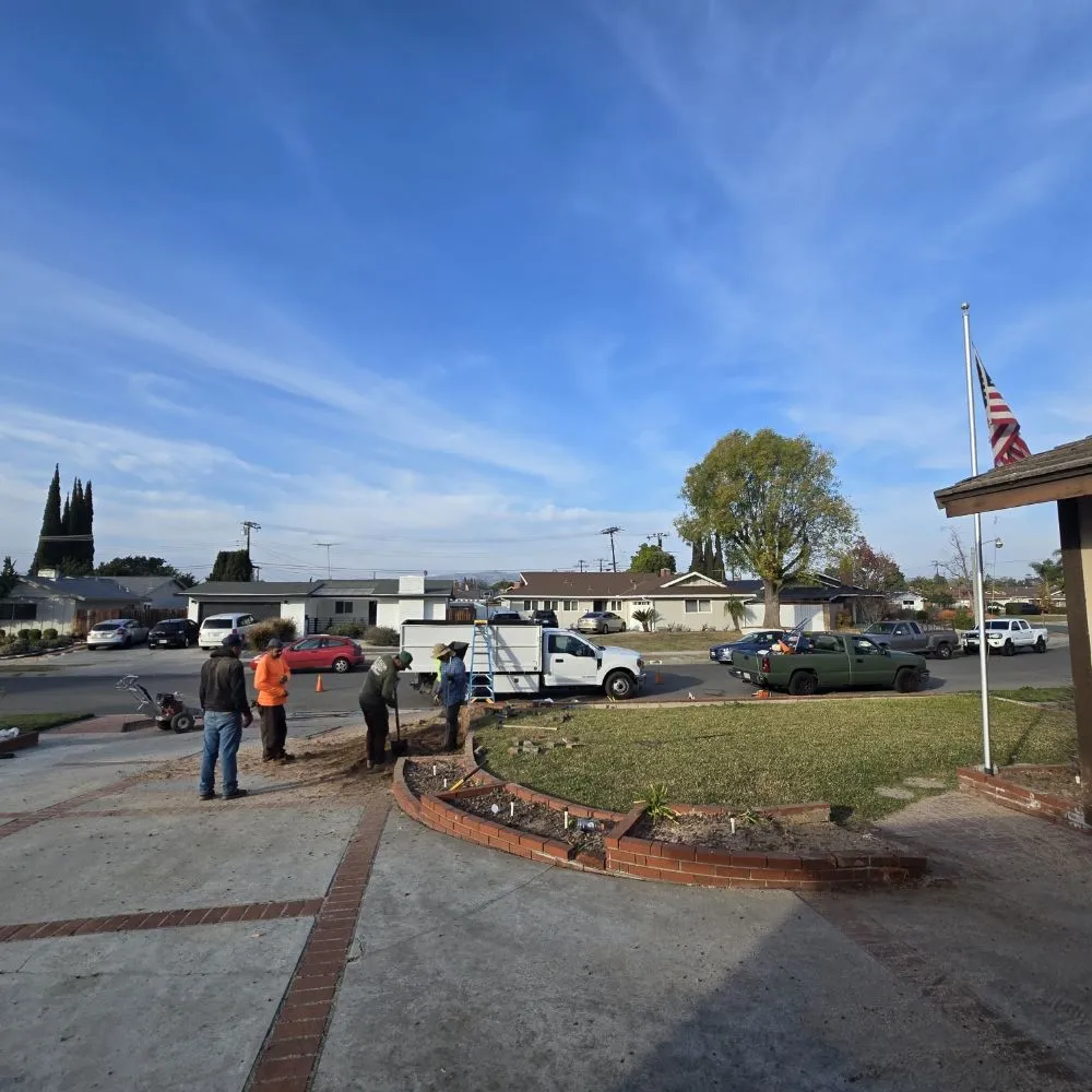 Trusted landscaping services in Santa Ana, CA - L Bravo Tree Services
