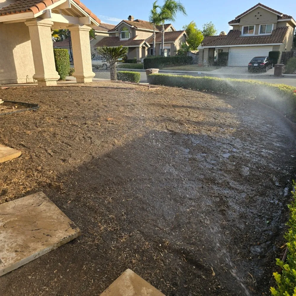 Affordable lawn care service experts serving Santa Ana, CA - L Bravo Tree Services