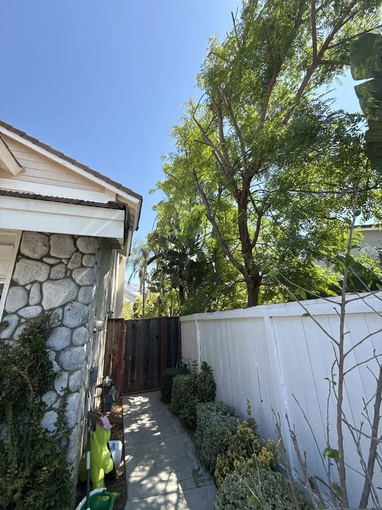 Reliable residential landscaping for homes in Santa Ana, CA by L Bravo Tree Services