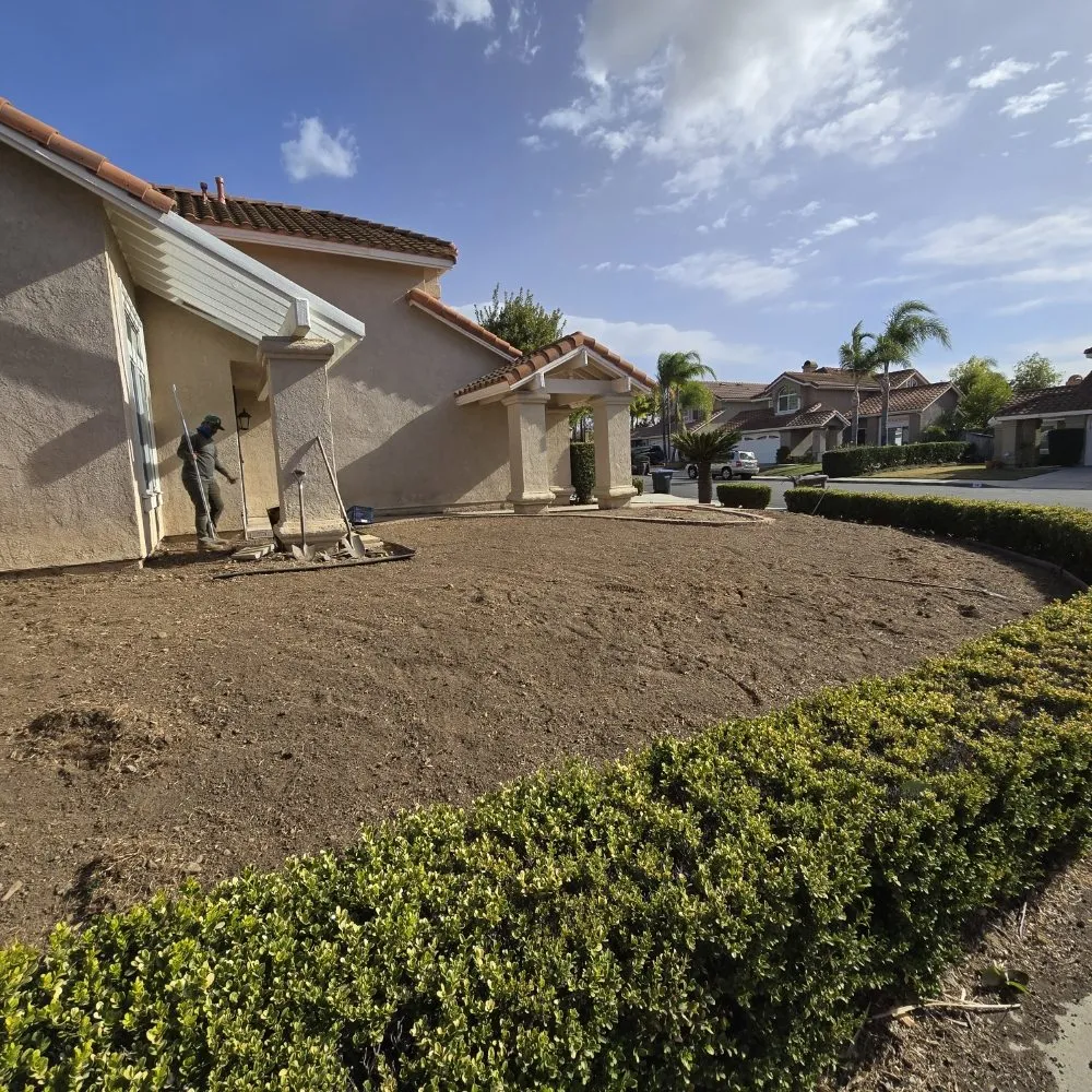 Professional outdoor landscaping for beautiful yards across Santa Ana, CA - L Bravo Tree Services