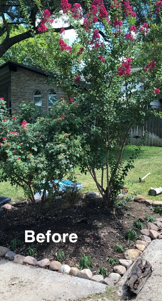 Local landscaping services in Leander, TX by L G Landscaping