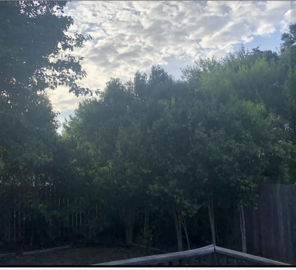 Professional yard maintenance in Leander, TX - L G Landscaping