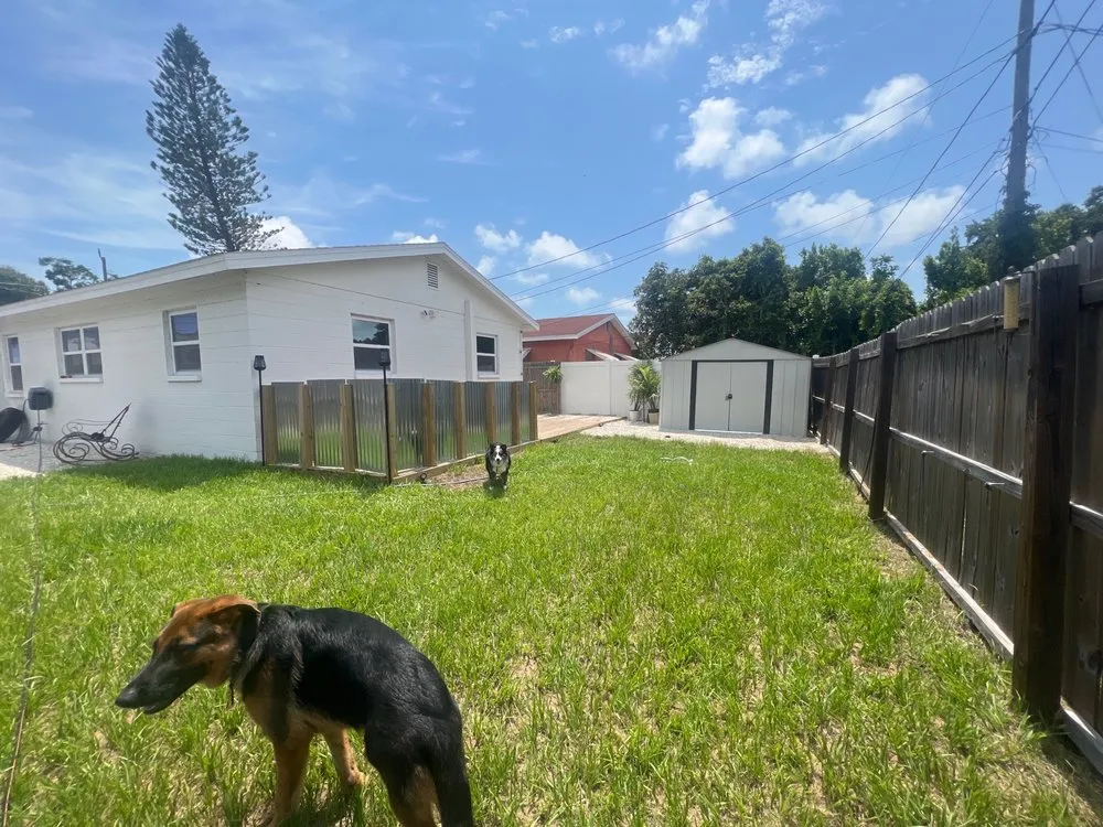 Reliable yard cleanup service in Saint Petersburg, FL - L Gil Sod