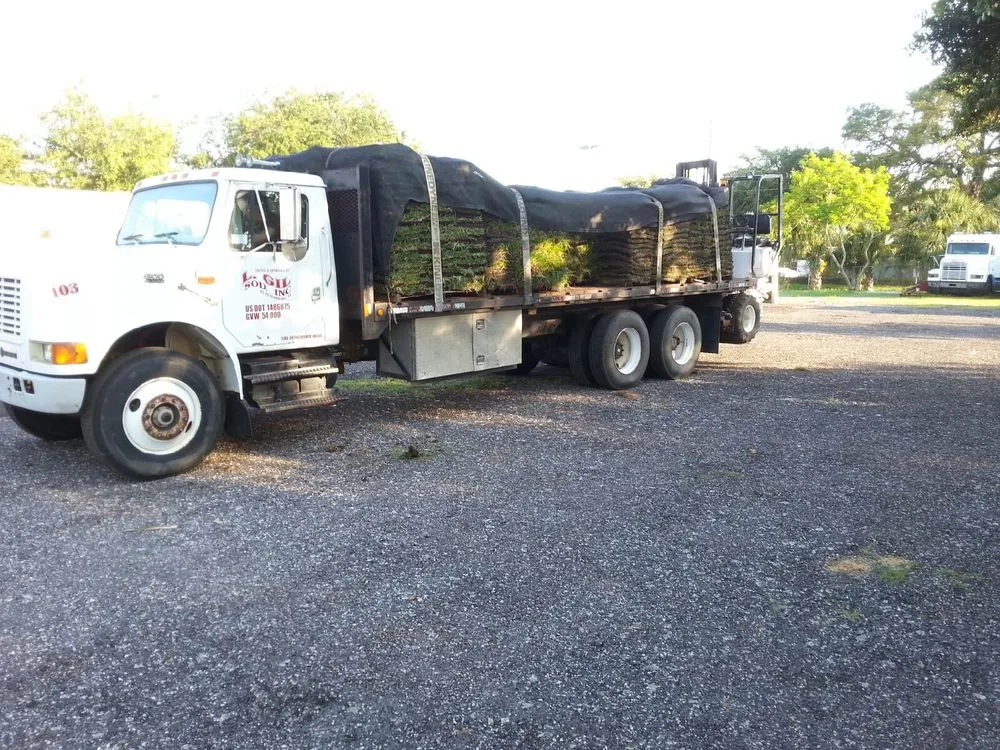 Expert landscaping services in Saint Petersburg, FL by L Gil Sod