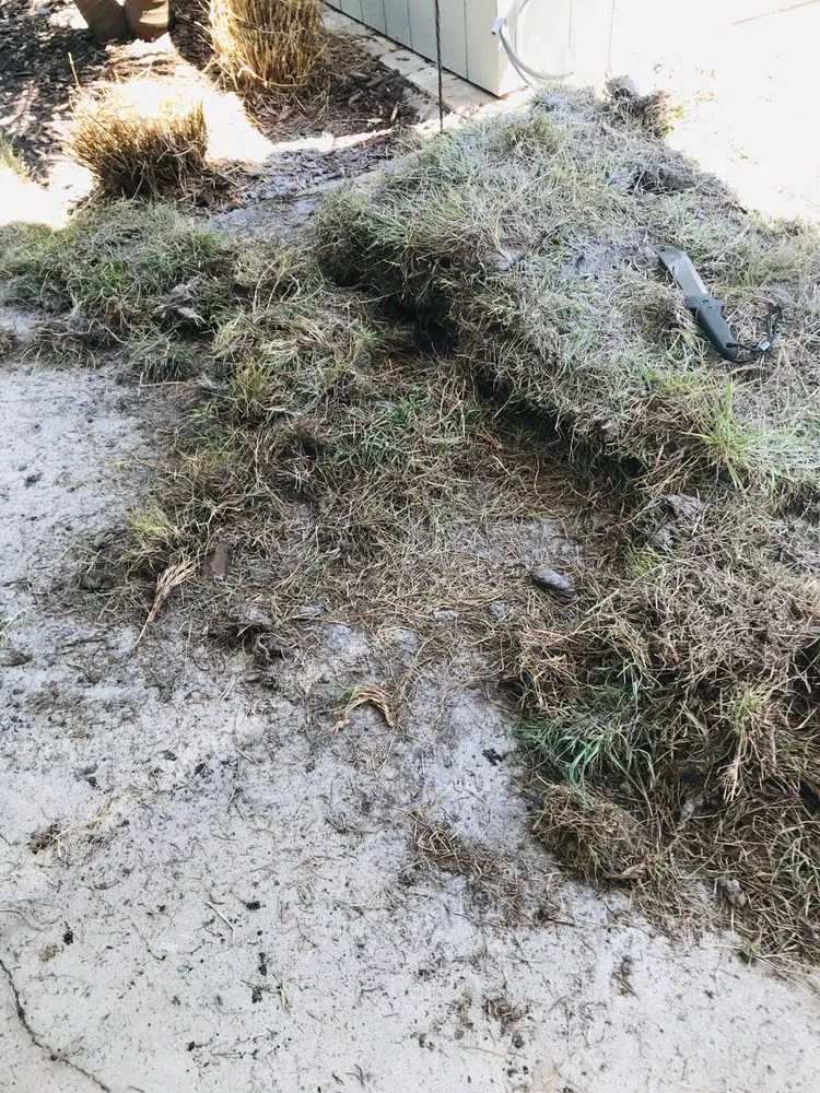 Custom lawn mowing service in Saint Petersburg, FL by L Gil Sod