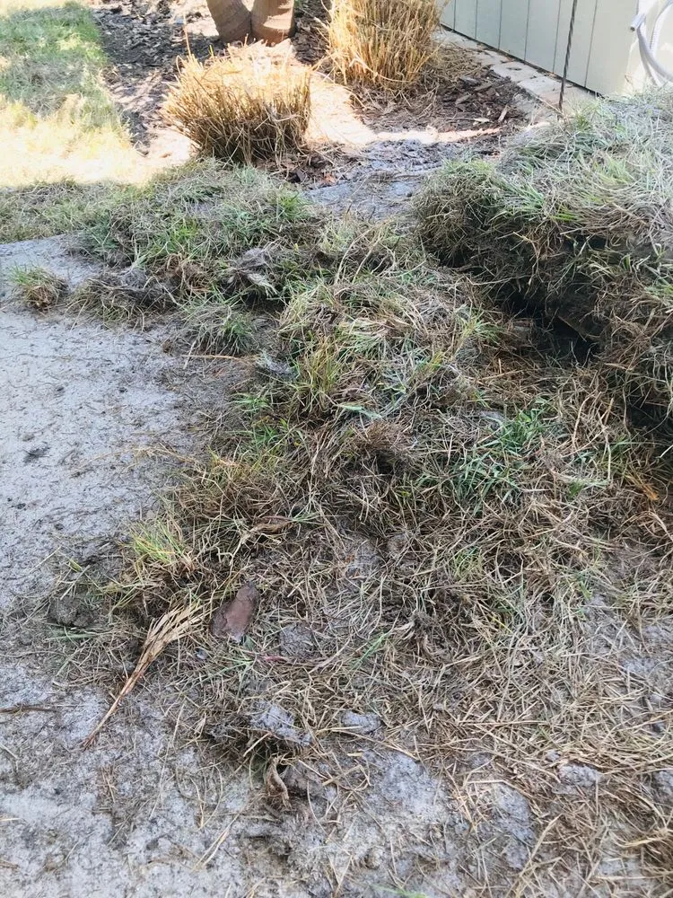 Professional outdoor landscaping experts serving Saint Petersburg, FL - L Gil Sod