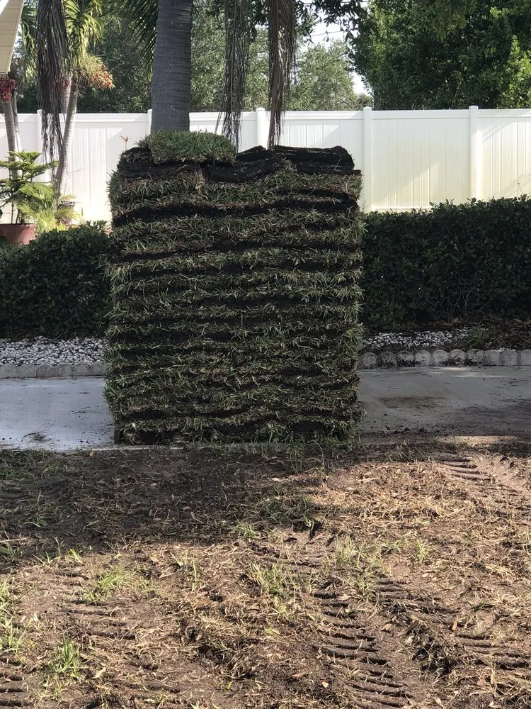 Affordable outdoor landscaping experts serving Saint Petersburg, FL - L Gil Sod