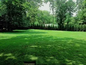 Local outdoor landscaping near you in Oakdale, NY by L. I. Elite Lawn Care