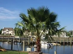 Expert lawn mowing service in Oakdale, NY - L. I. Elite Lawn Care