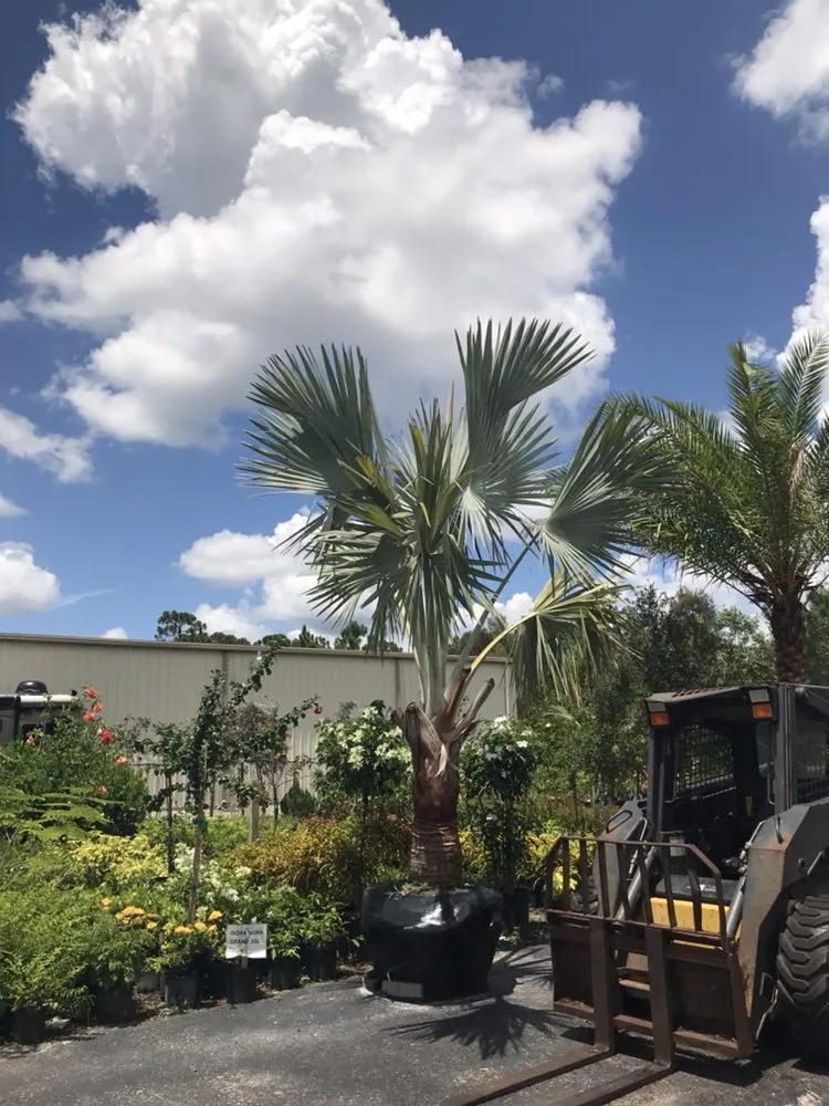 Professional landscape installation in Cape Coral, FL - L J Decorating Landscape