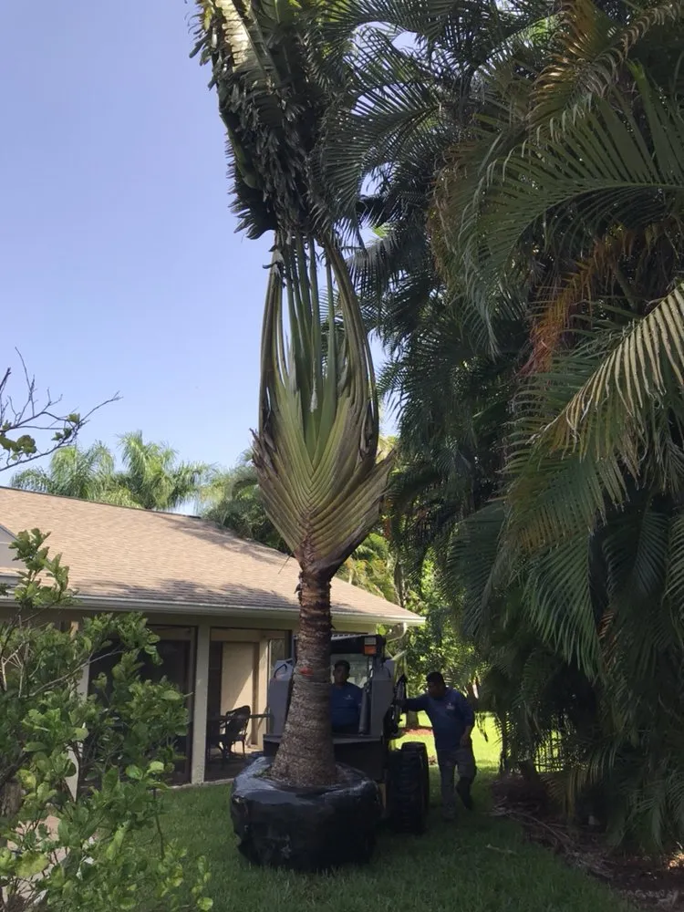 Professional outdoor landscaping experts serving Cape Coral, FL - L J Decorating Landscape