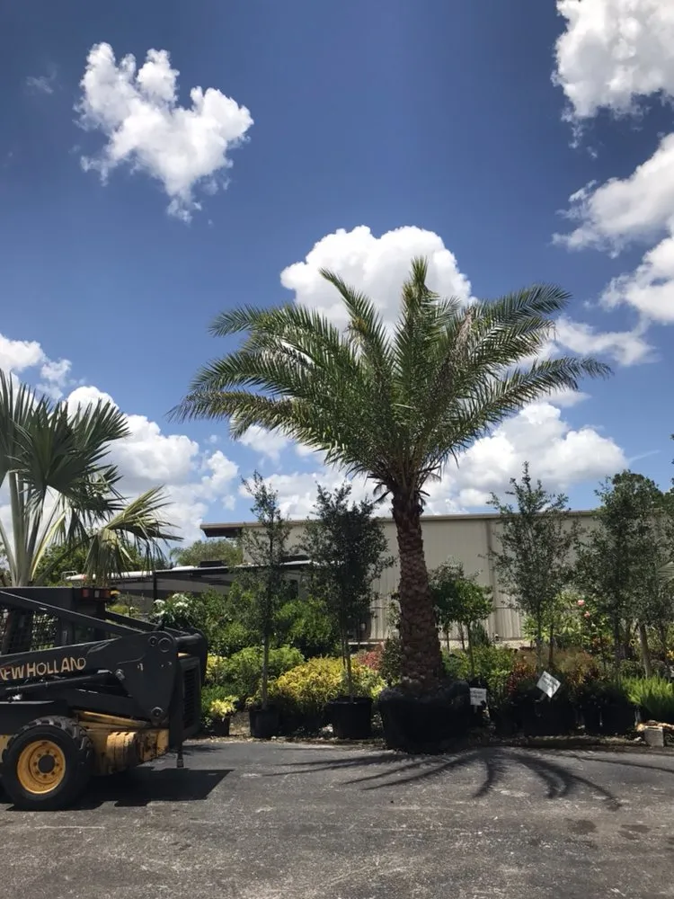 Professional lawn mowing service experts serving Cape Coral, FL - L J Decorating Landscape