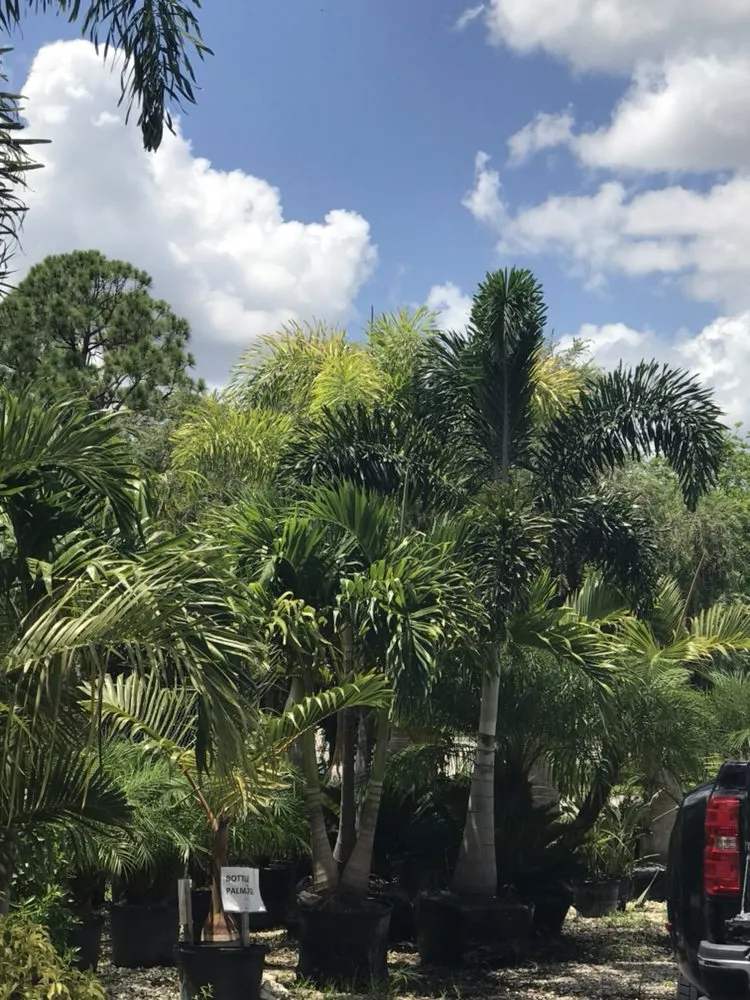 Expert residential landscaping near you across Cape Coral, FL - L J Decorating Landscape