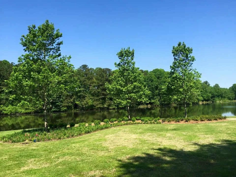 Trusted landscaping services in Smyrna, GA - L Jones Landscapes