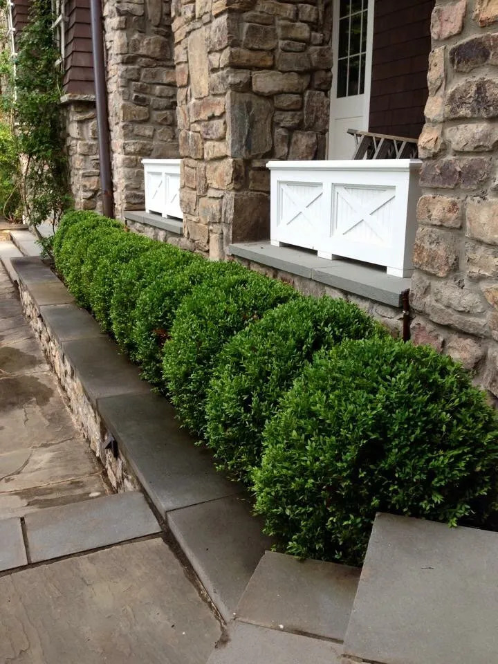Custom yard cleanup service in Smyrna, GA - L Jones Landscapes