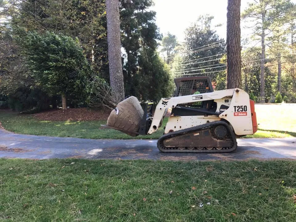 Custom yard cleanup service experts serving Smyrna, GA - L Jones Landscapes