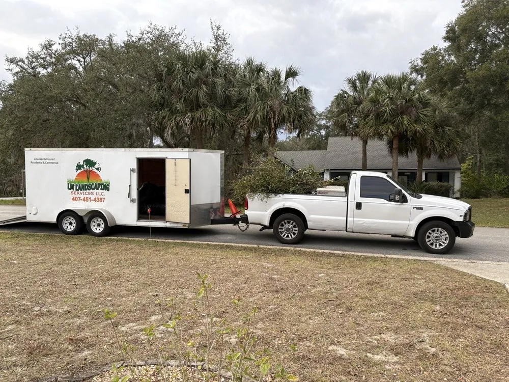 Expert yard cleanup service in Longwood, FL - L M Landscaping Services