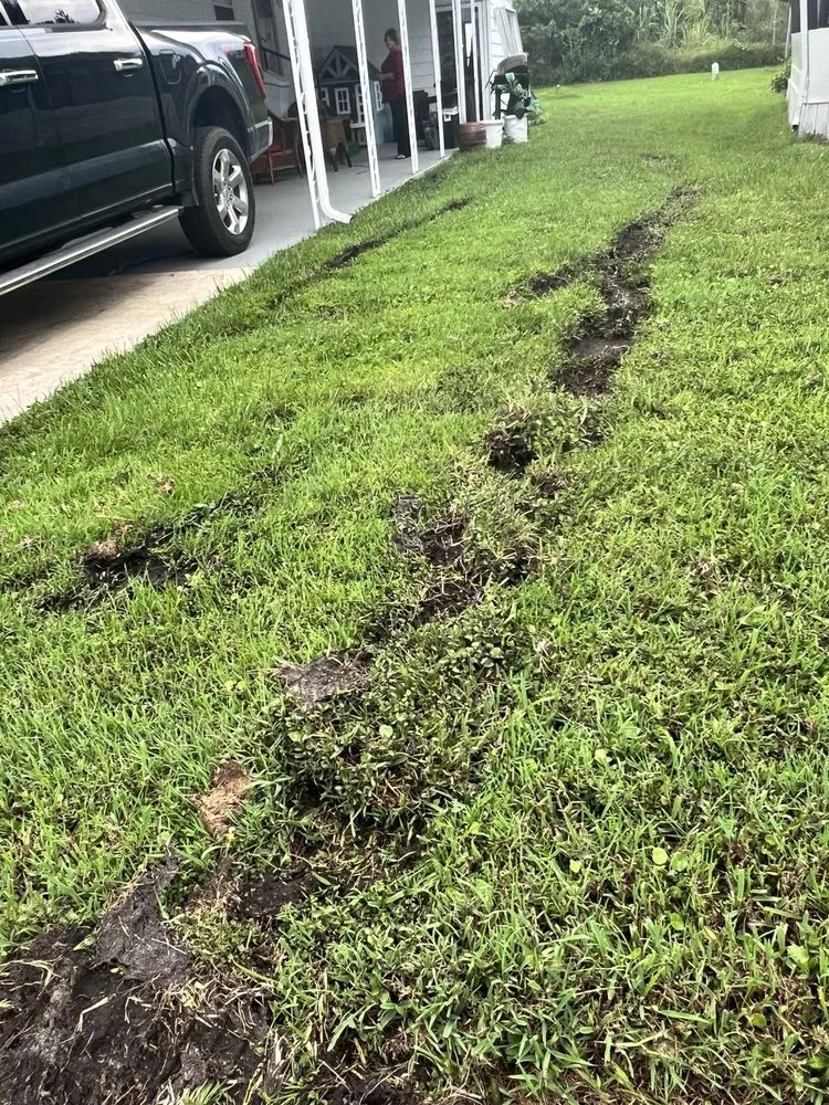 Affordable landscaping services experts serving Longwood, FL - L M Landscaping Services