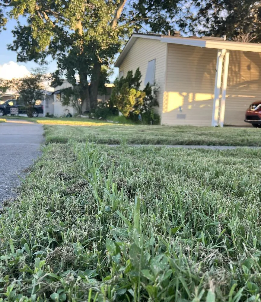 Professional lawn care service in Longwood, FL by L M Landscaping Services