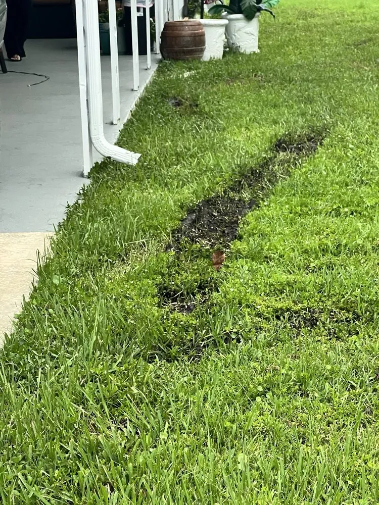 Top-rated outdoor landscaping in Longwood, FL by L M Landscaping Services