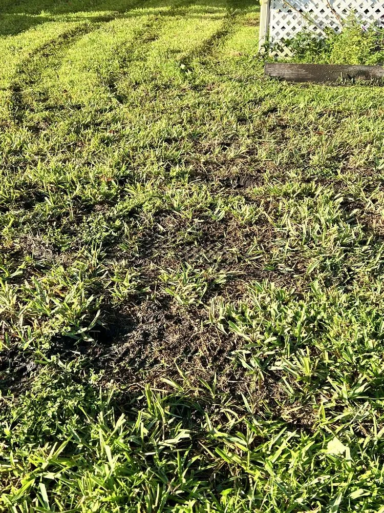 Local garden landscaping in Longwood, FL by L M Landscaping Services