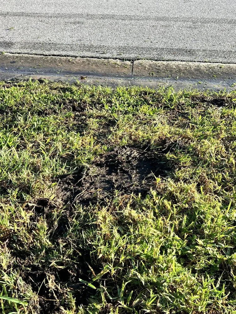 Top-rated lawn mowing service for beautiful yards in Longwood, FL by L M Landscaping Services