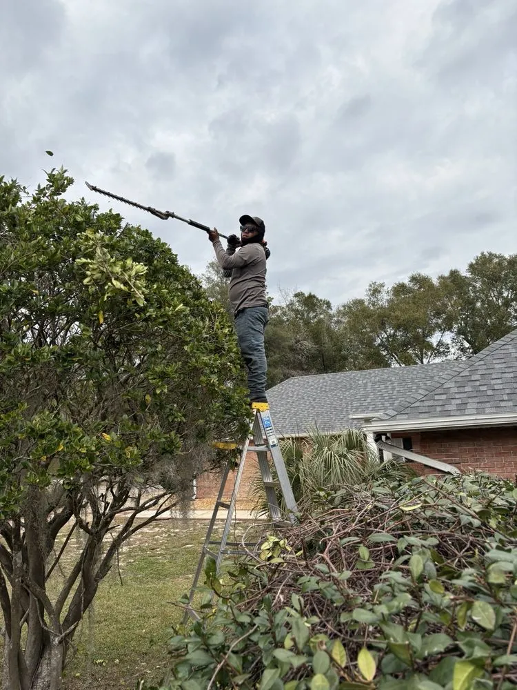 Professional lawn mowing service in Longwood, FL - L M Landscaping Services