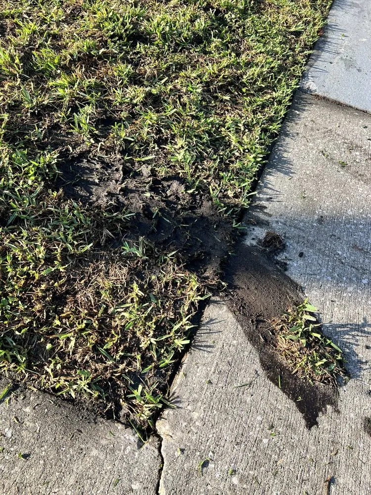 Affordable yard cleanup service with custom design across Longwood, FL - L M Landscaping Services