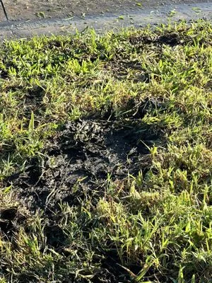 L M Landscaping Services