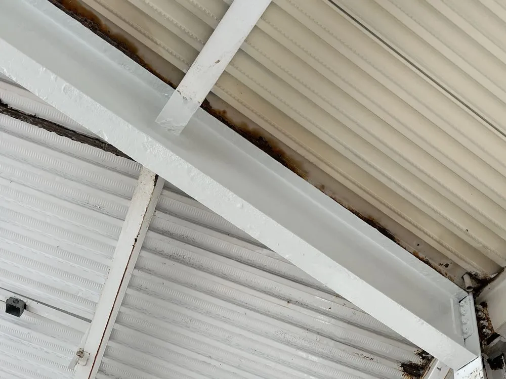 Reliable landscape design for beautiful yards in Lancaster, SC by L M S Solutions