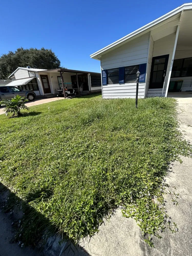 Professional lawn mowing service for homes in Palm Bay, FL by L Magras