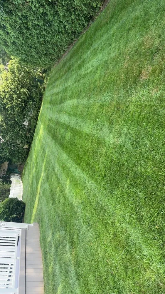 Professional yard cleanup service in Oyster Bay, NY - L Maldonado Landsaping