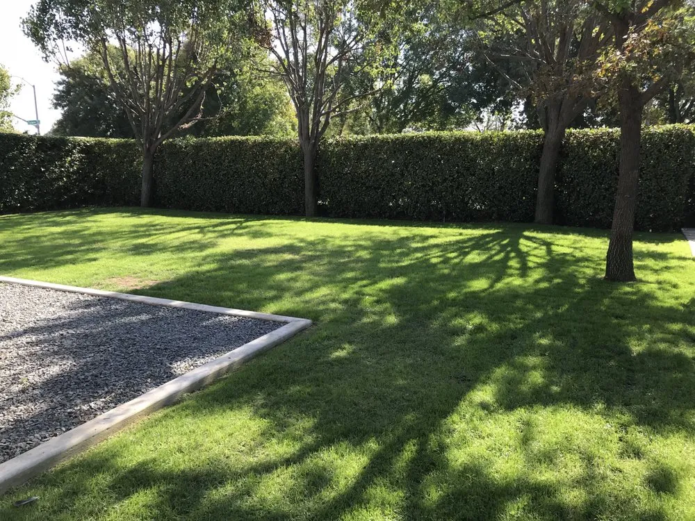 Top-rated yard maintenance in Visalia, CA - L Marquez Lawn Service