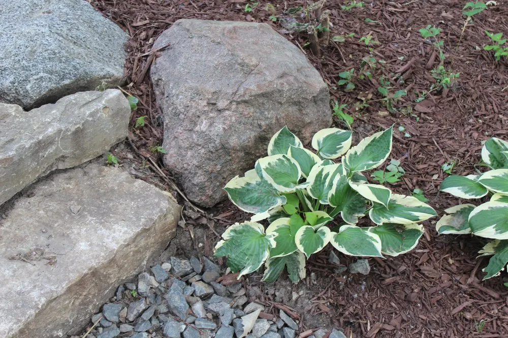 Reliable landscaping services experts serving Omaha, NE - L-Mgt Landscaping & Lawn