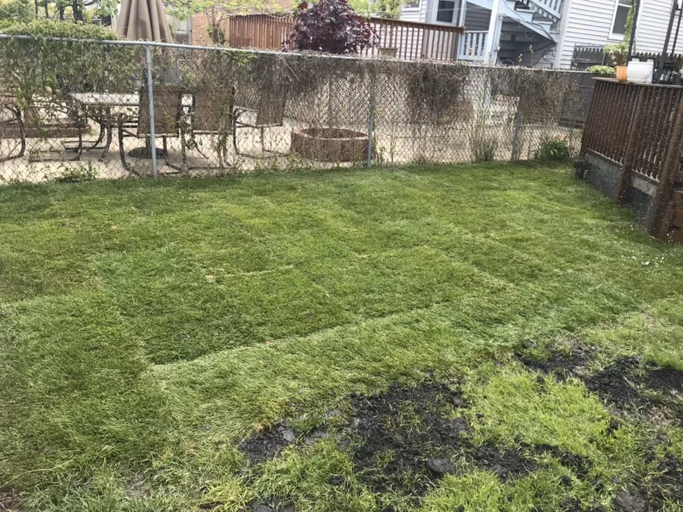 Custom yard cleanup service experts serving Chicago, IL - L Miller Landscaping and Design