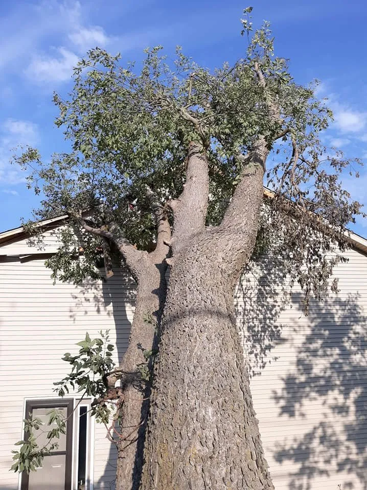 Reliable garden landscaping in South Amana, IA - L Miller Landscaping