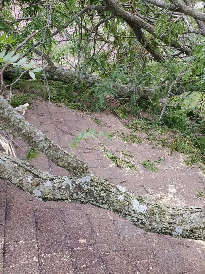 Trusted yard cleanup service in South Amana, IA by L Miller Landscaping