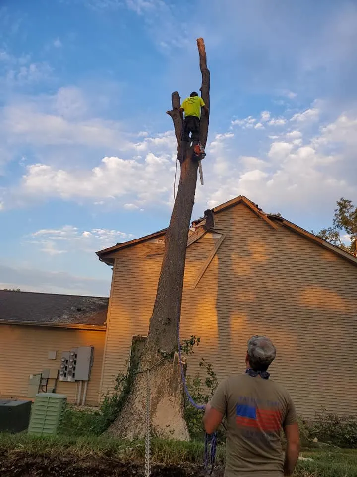Top-rated lawn care service experts serving South Amana, IA - L Miller Landscaping