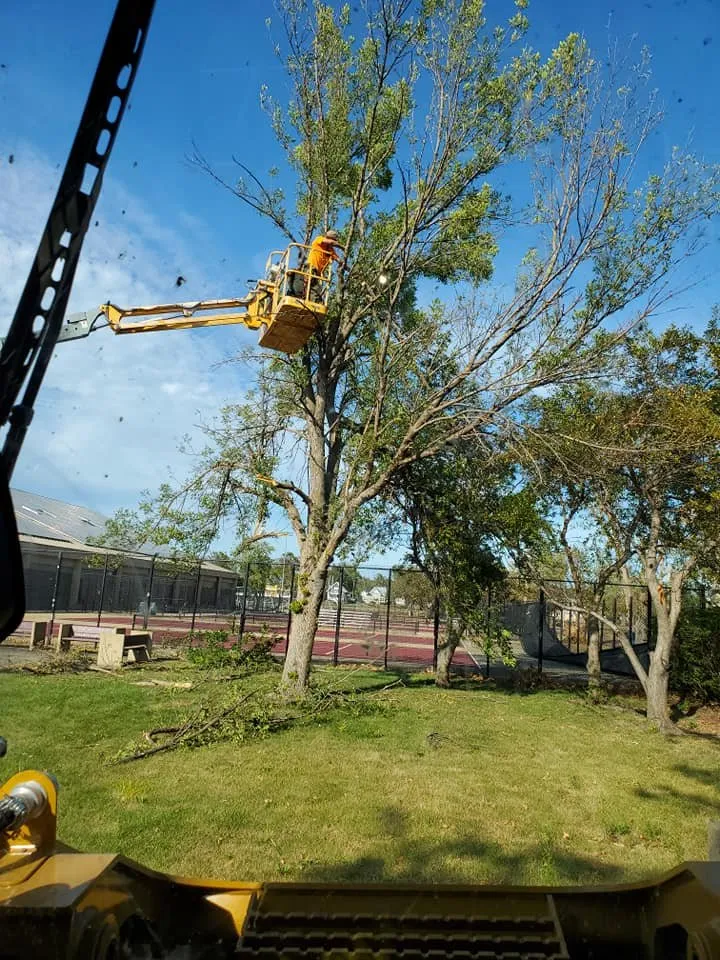 Professional lawn mowing service for outdoor upgrades across South Amana, IA - L Miller Landscaping