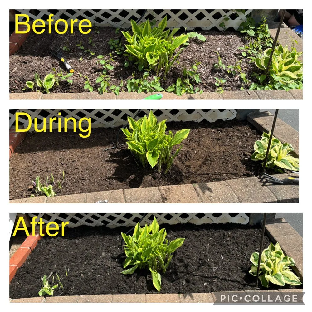 Local lawn care service for homes across Clyde, NY - L n D Lawn and Garden Care