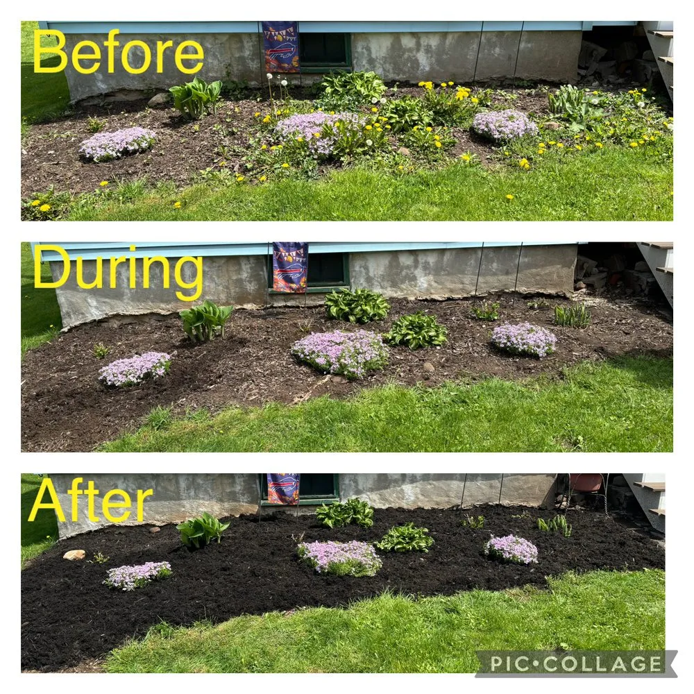 Top-rated landscaping services for homes across Clyde, NY - L n D Lawn and Garden Care