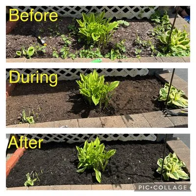 L n D Lawn and Garden Care