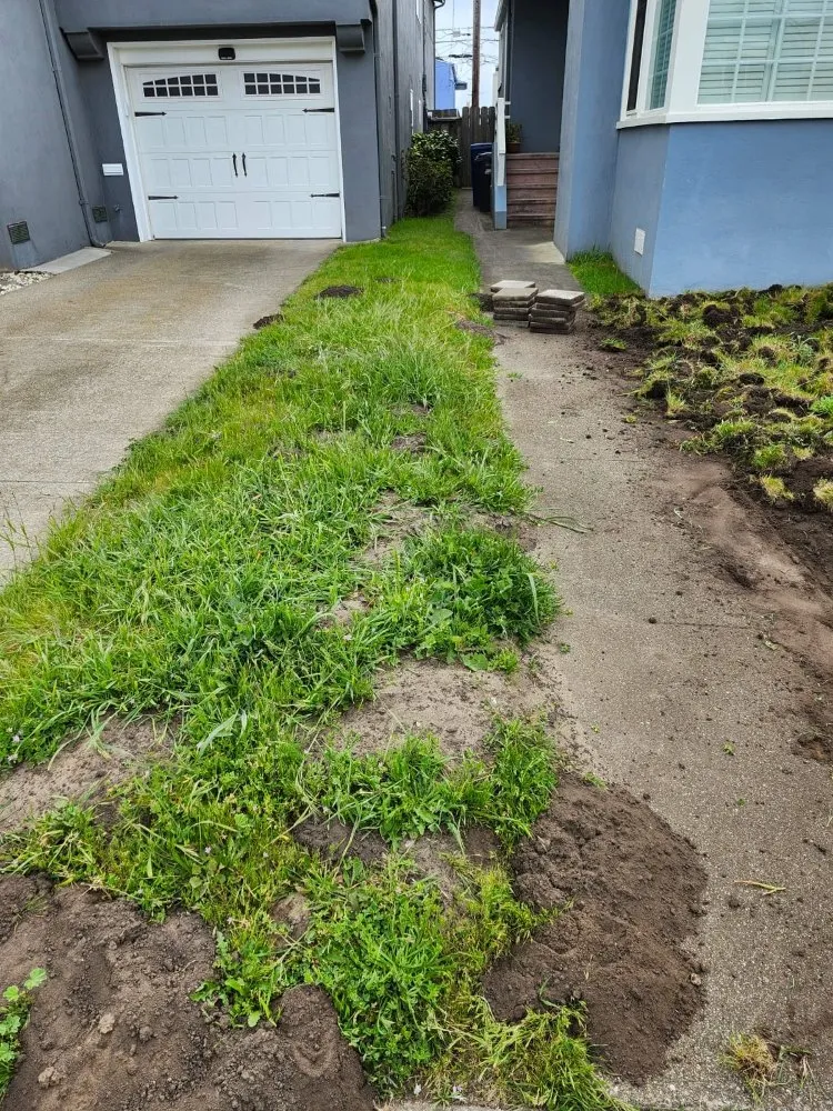 Expert yard maintenance experts serving Redwood City, CA - L N Gardening And Fencing