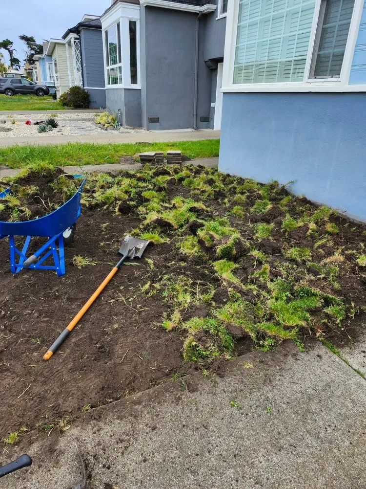 Professional landscaping services for year-round maintenance in Redwood City, CA by L N Gardening And Fencing