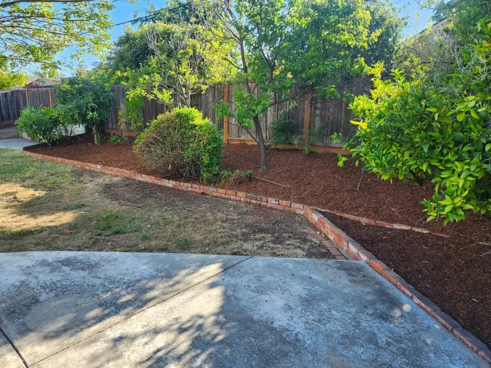 Local yard maintenance experts serving Redwood City, CA - L N Gardening And Fencing