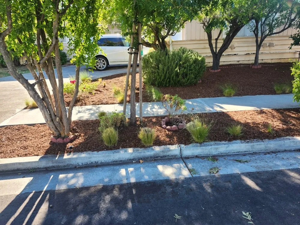 Reliable yard cleanup service experts serving Redwood City, CA - L N Gardening And Fencing