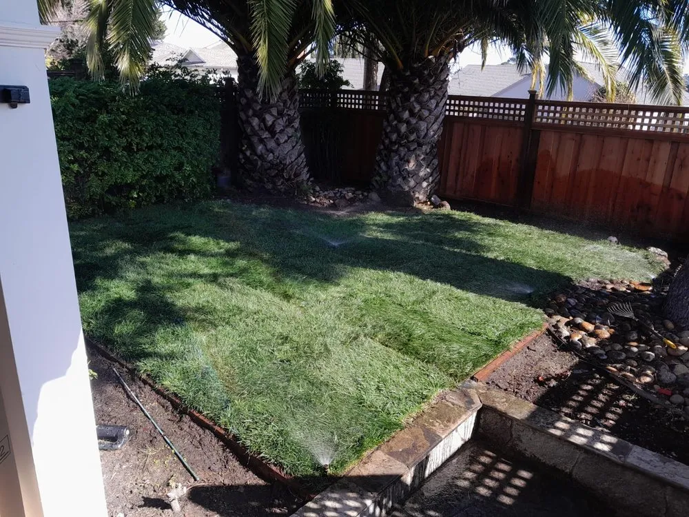 Trusted landscaping services experts serving Redwood City, CA - L N Gardening And Fencing