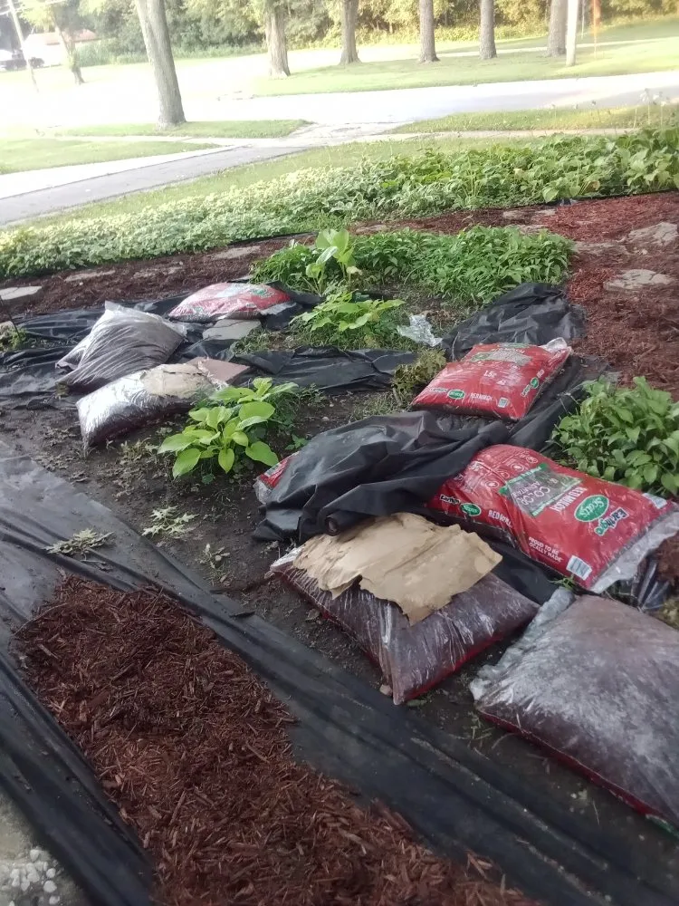 Affordable lawn mowing service experts serving Des Moines, IA - L N M Services