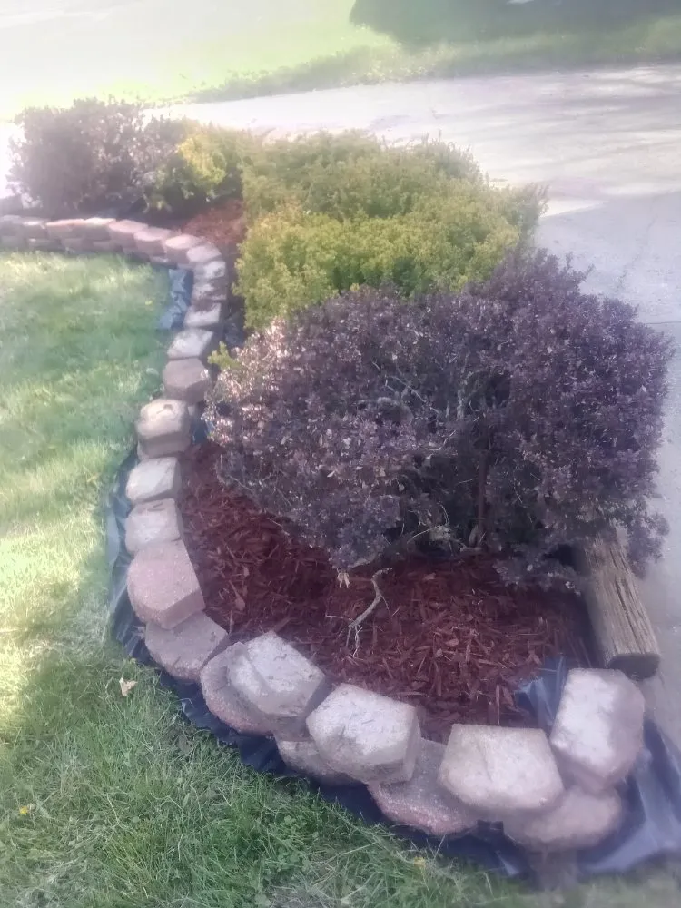 Custom yard cleanup service in Des Moines, IA by L N M Services
