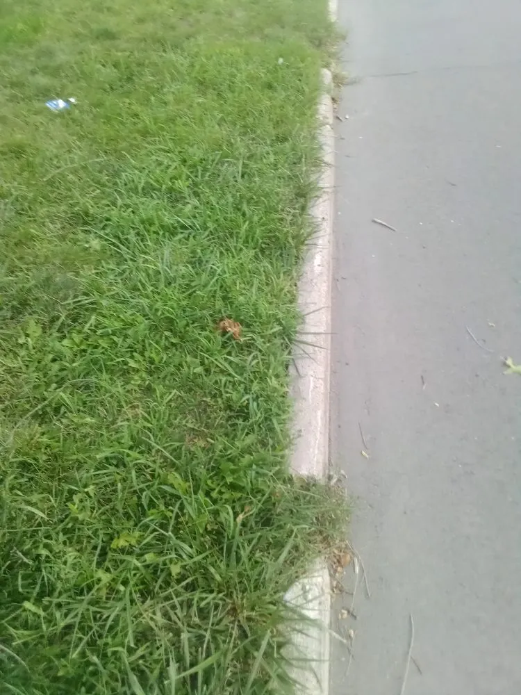 Custom landscape installation in Des Moines, IA by L N M Services